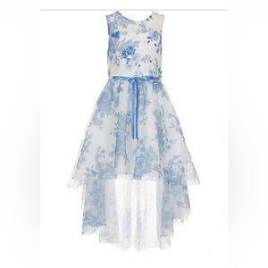 Floral Blue and White High-Low Dress